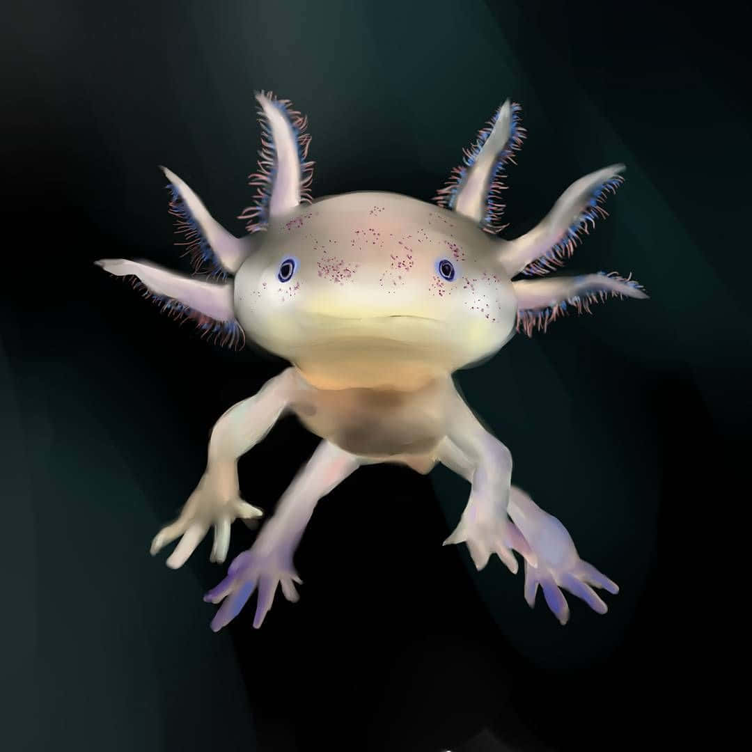 Background Axolotl Wallpaper