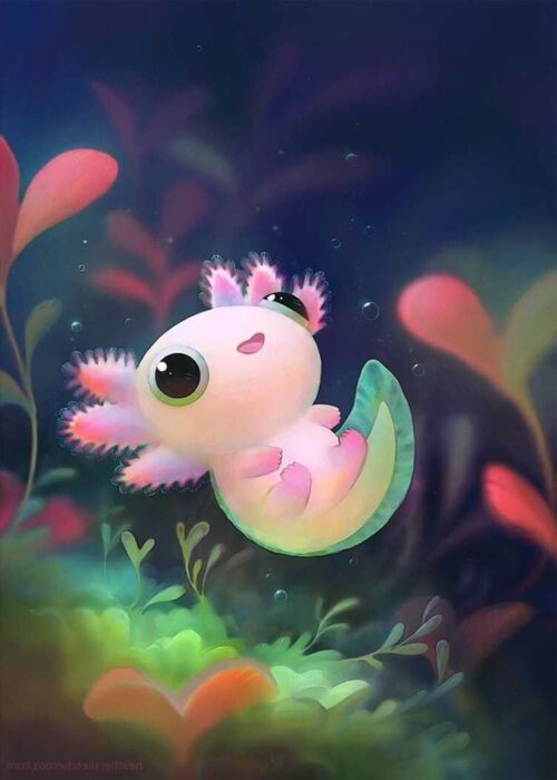 Background Axolotl Wallpaper