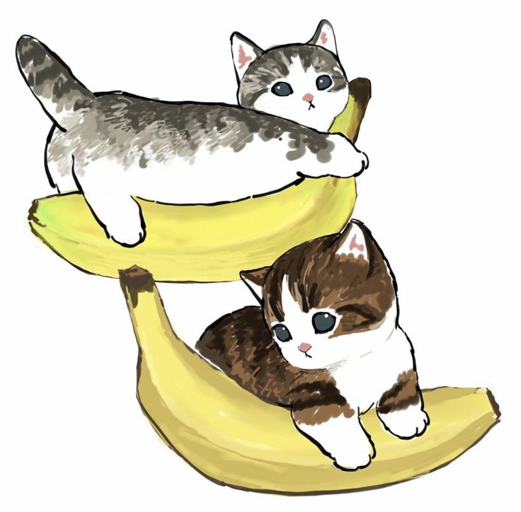 Background Banana Cat Wallpaper