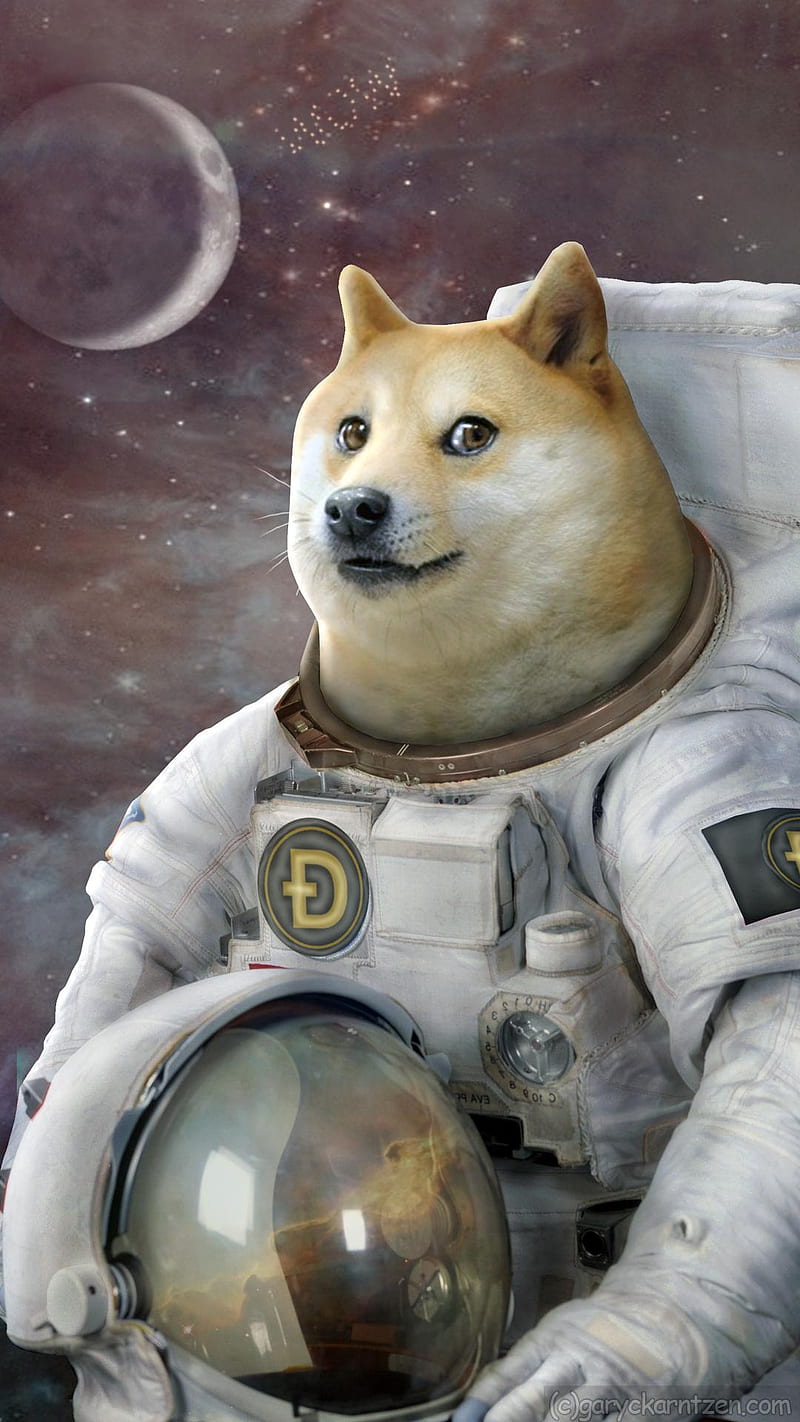 Background Doge Wallpaper