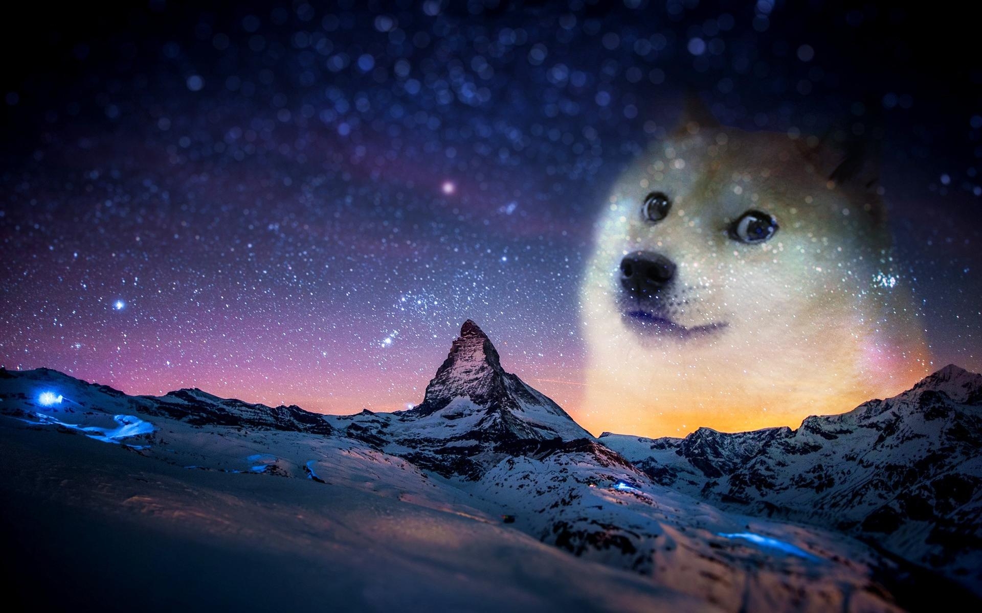 Doge Desktop Wallpaper