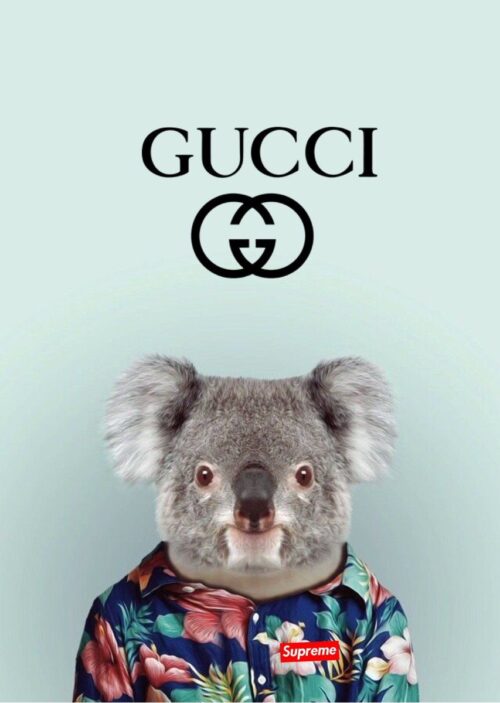 Background Gucci Wallpaper