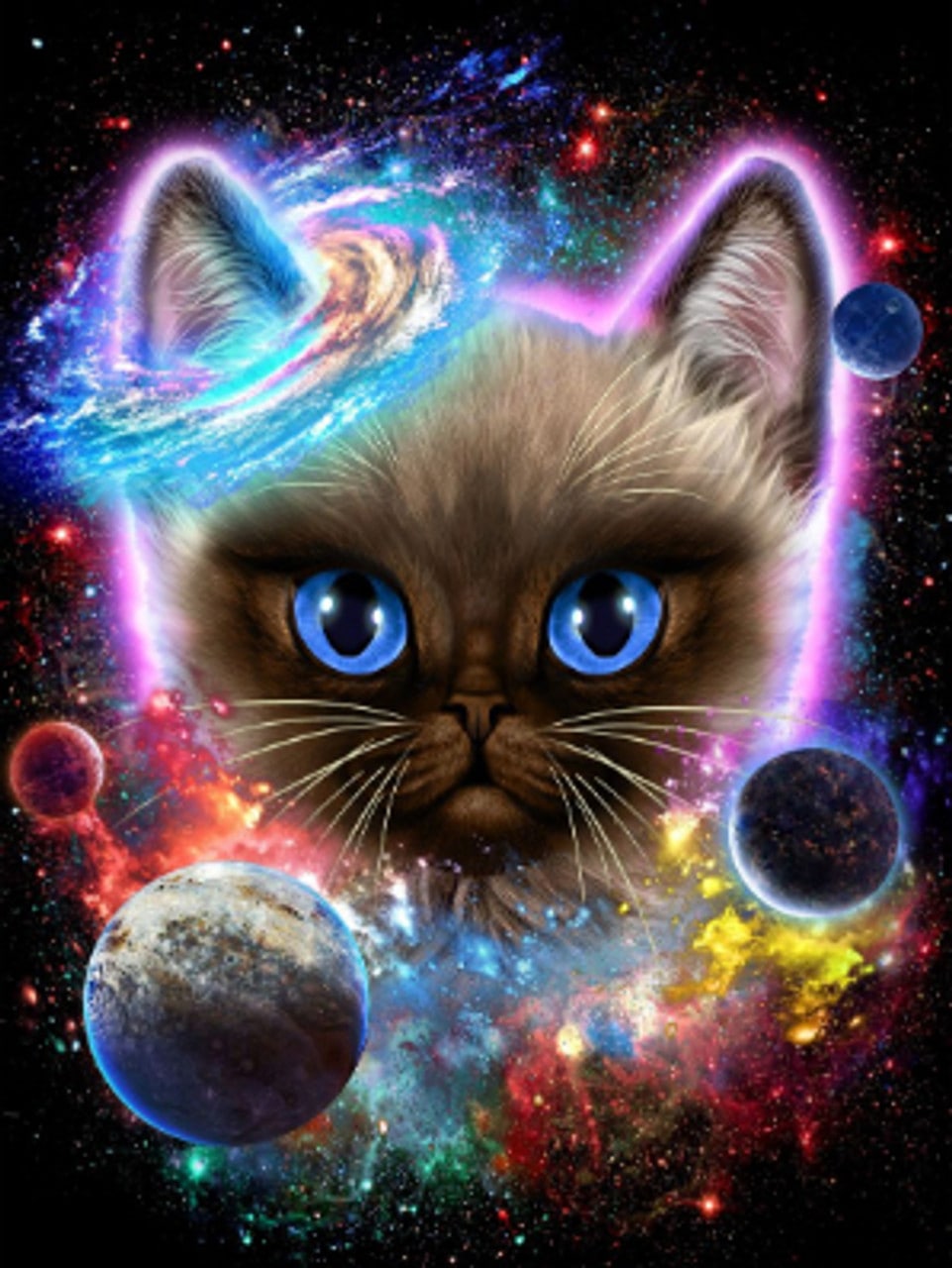 Background Kitten Wallpaper