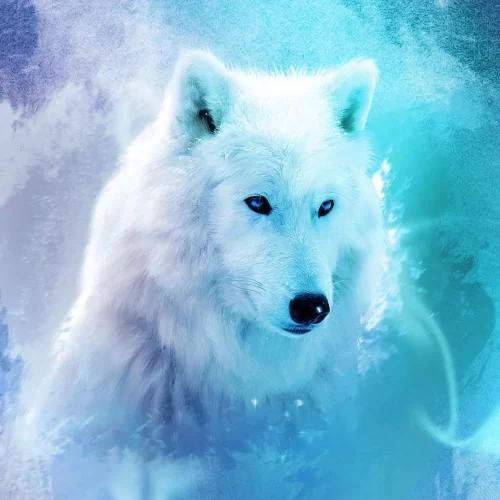 Background Wolf Wallpaper