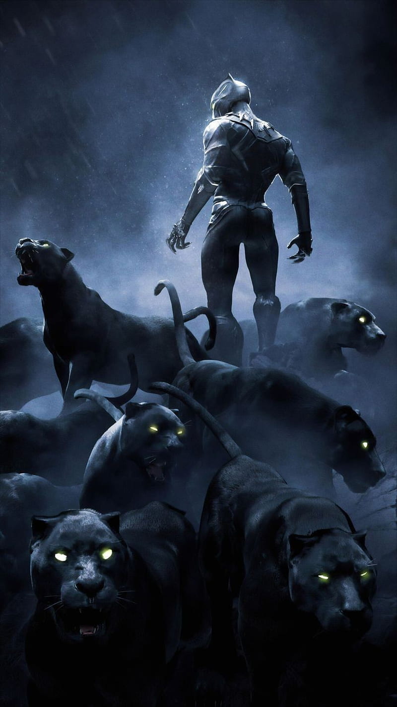 Black Panther Wallpaper