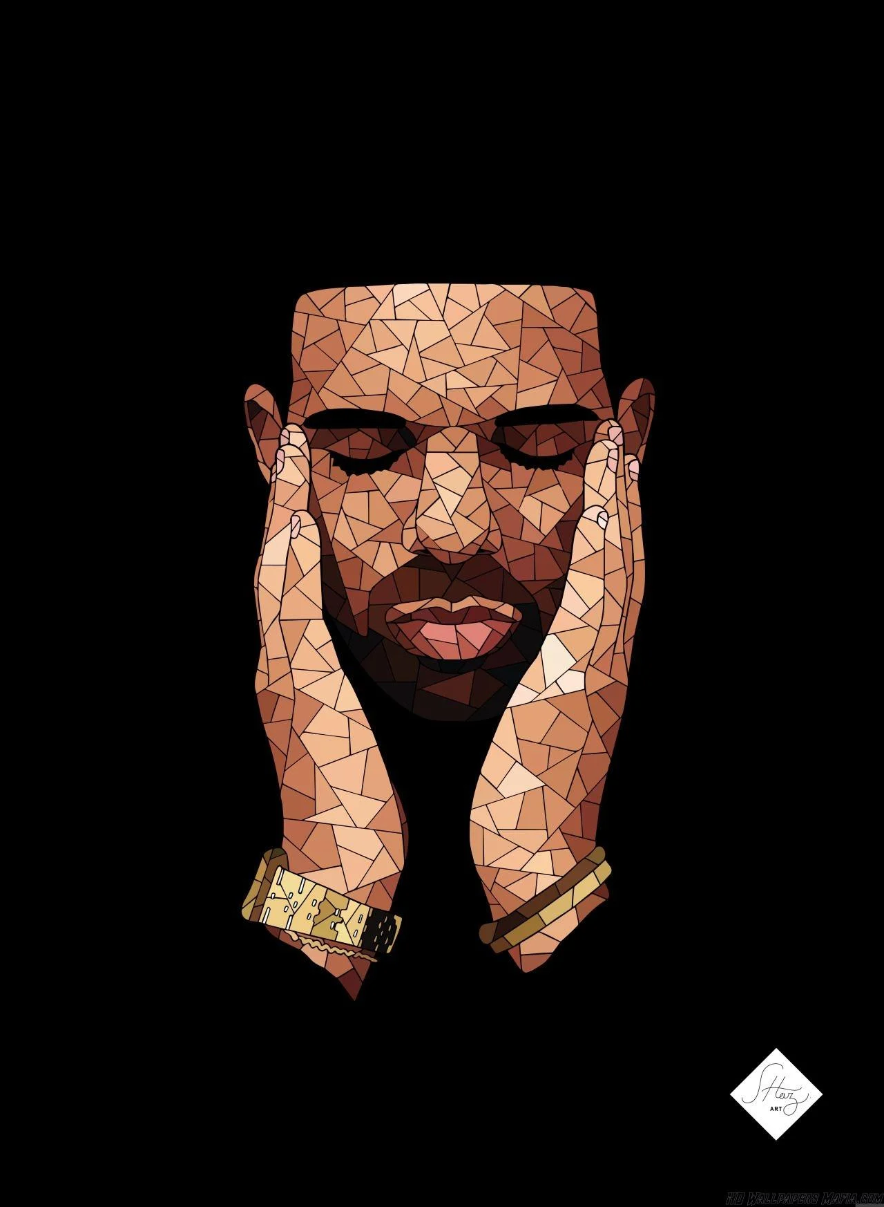 Background Drake Wallpaper