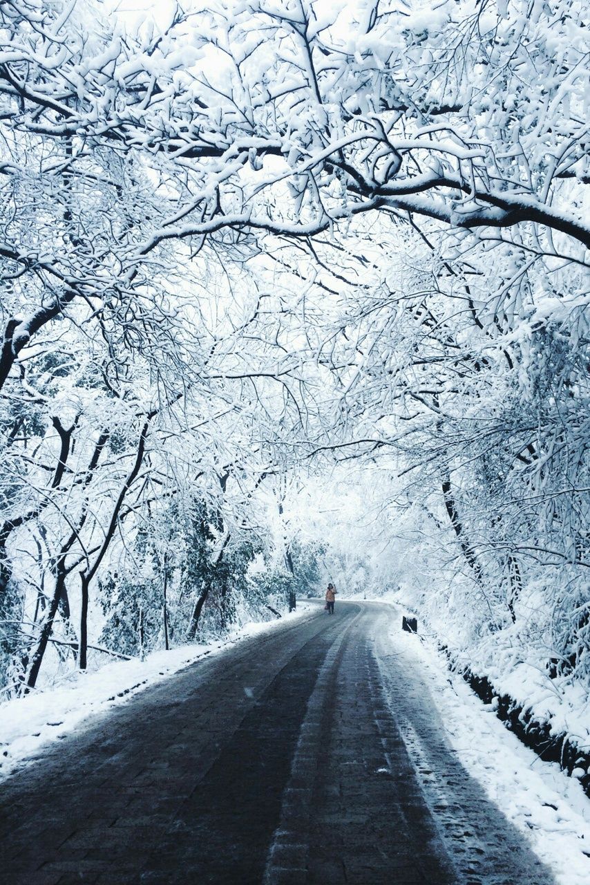 Background Winter Wallpaper