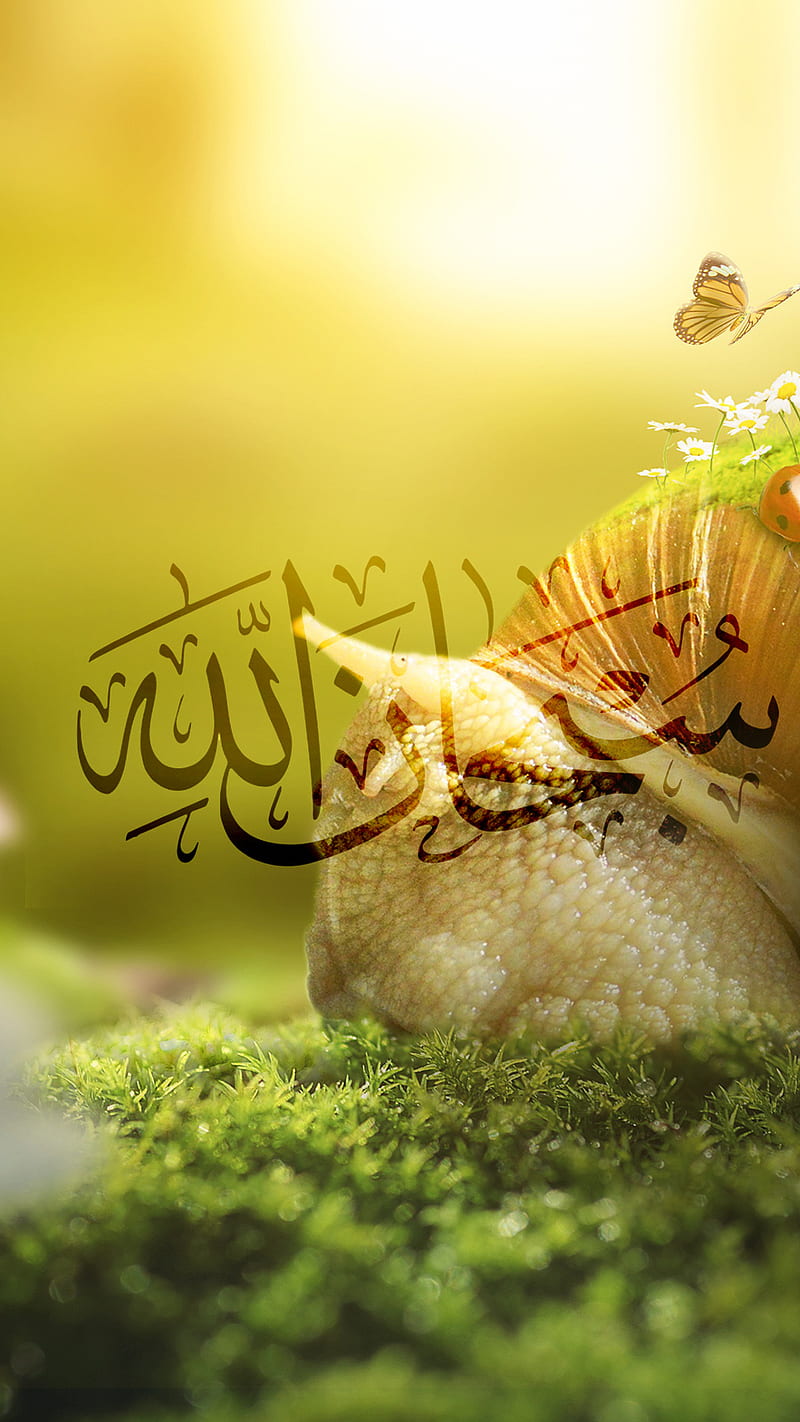 Background Allah Wallpaper