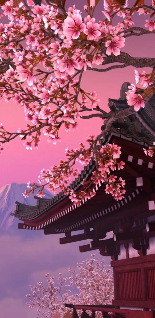 Background Cherry Blossom Wallpaper
