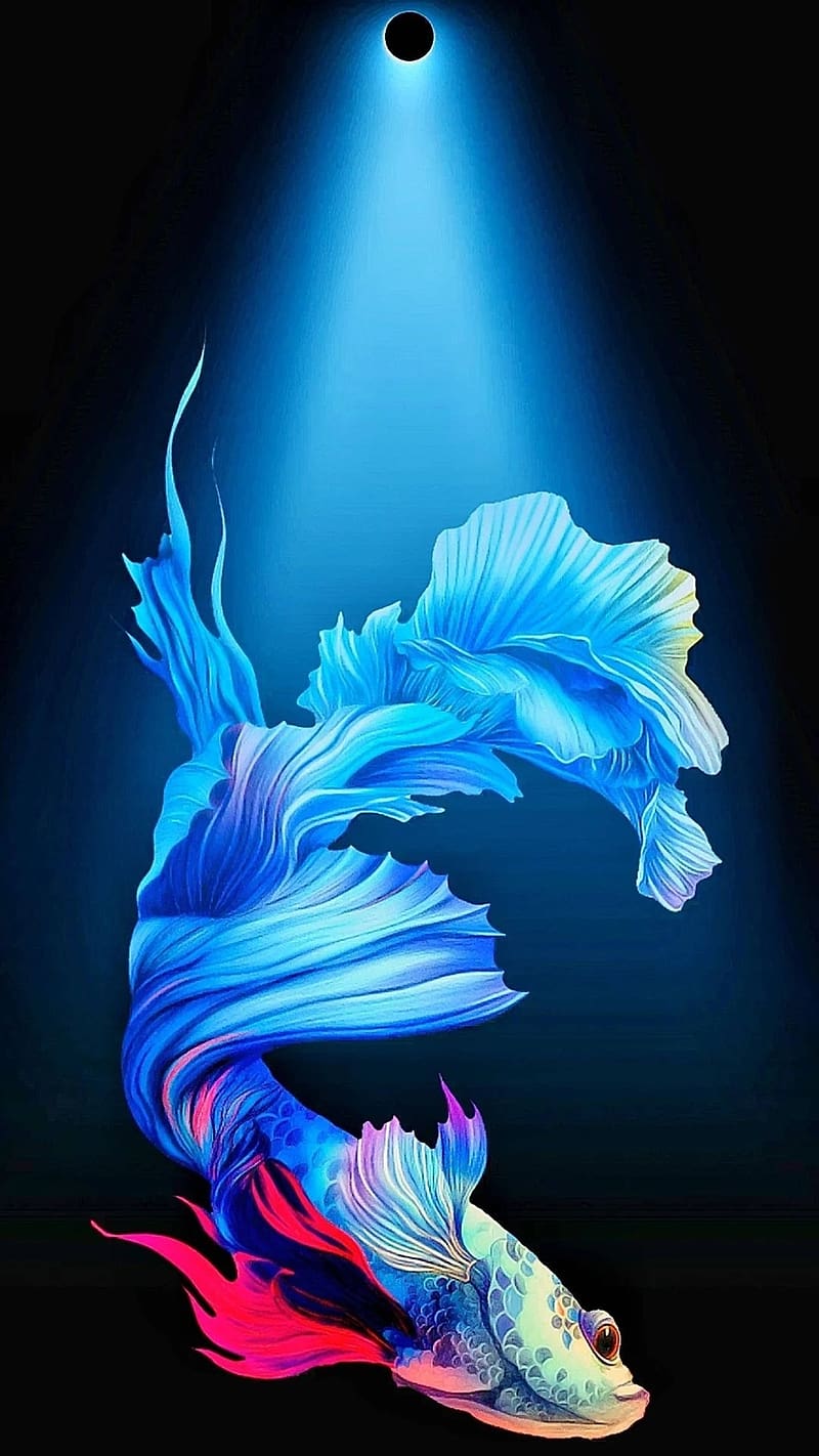 Fish Background Wallpaper