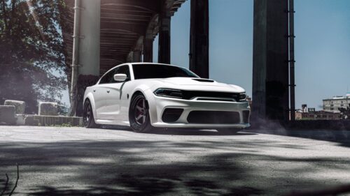 Hellcat Wallpaper