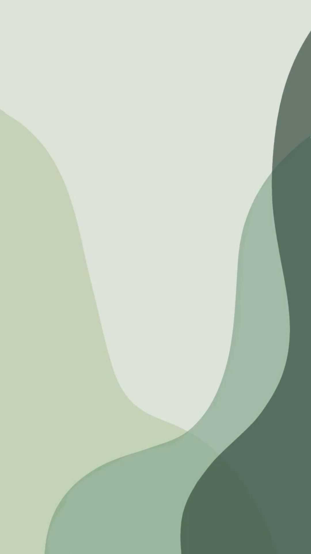 Sage Green Background Wallpaper