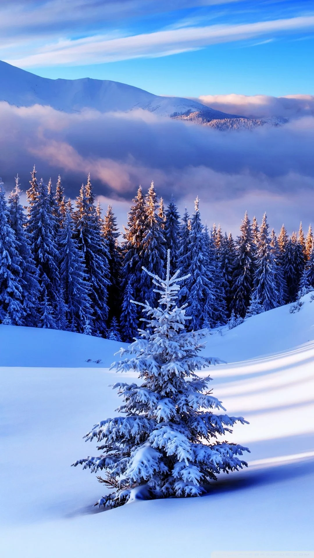 Background Winter Wallpaper