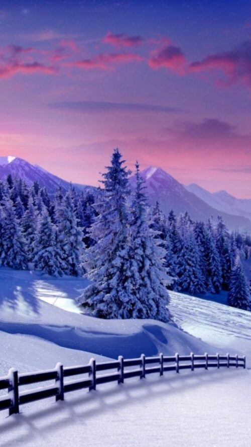 Background Winter Wallpaper