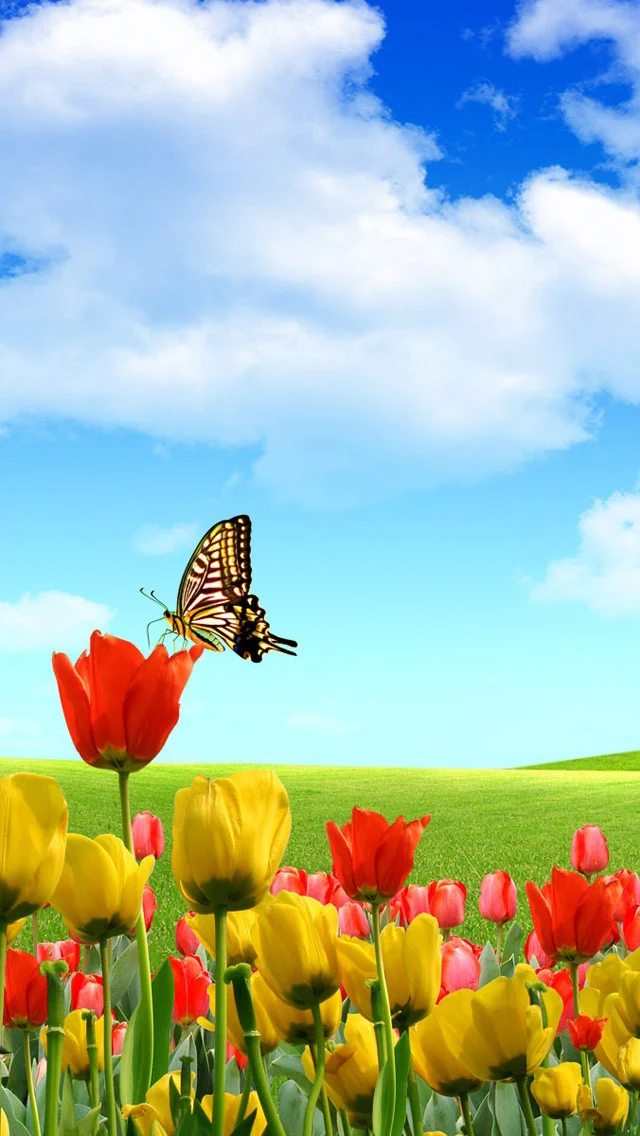 Background Spring  Wallpaper