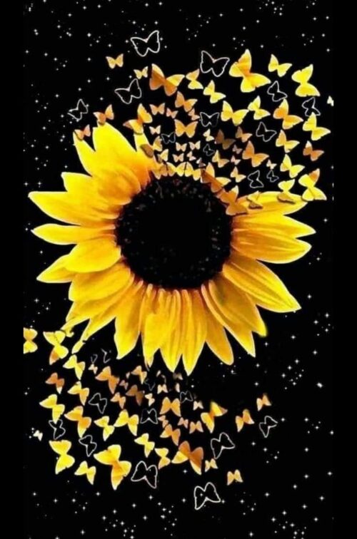 Background Sunflower Wallpaper