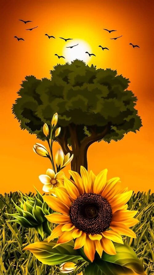 Background Sunflower Wallpaper