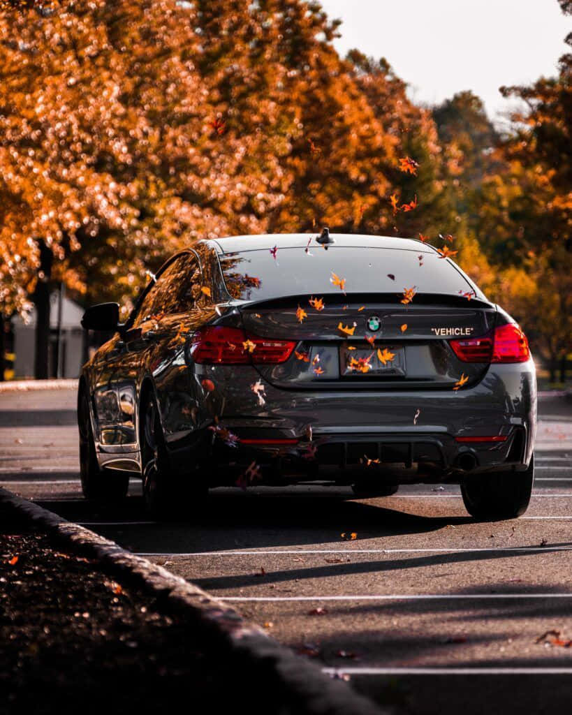 Background BMW Wallpaper