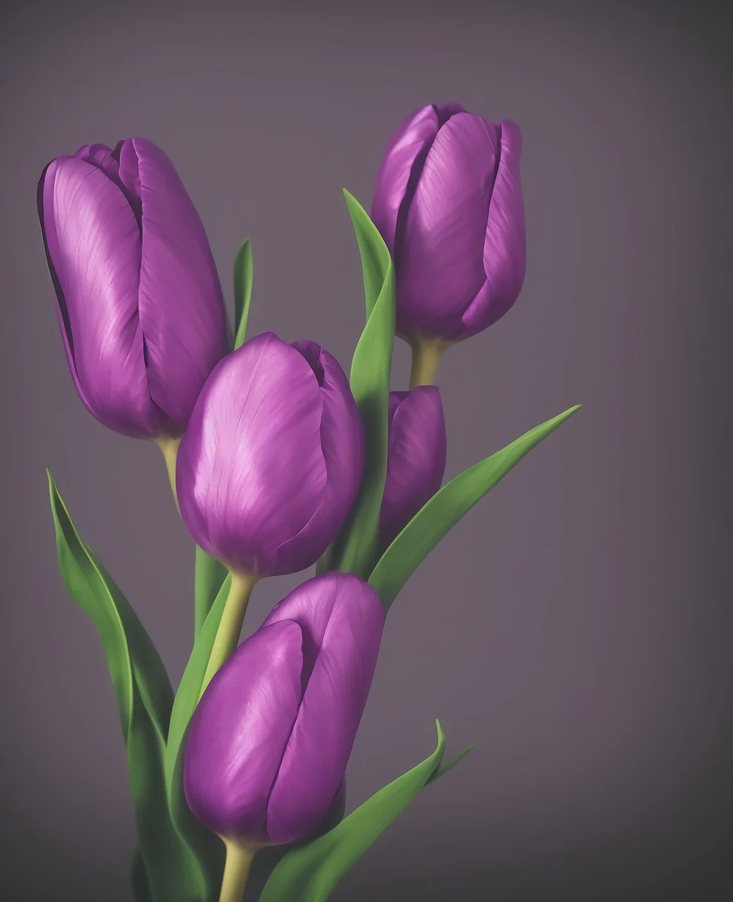 Background Tulip Wallpaper