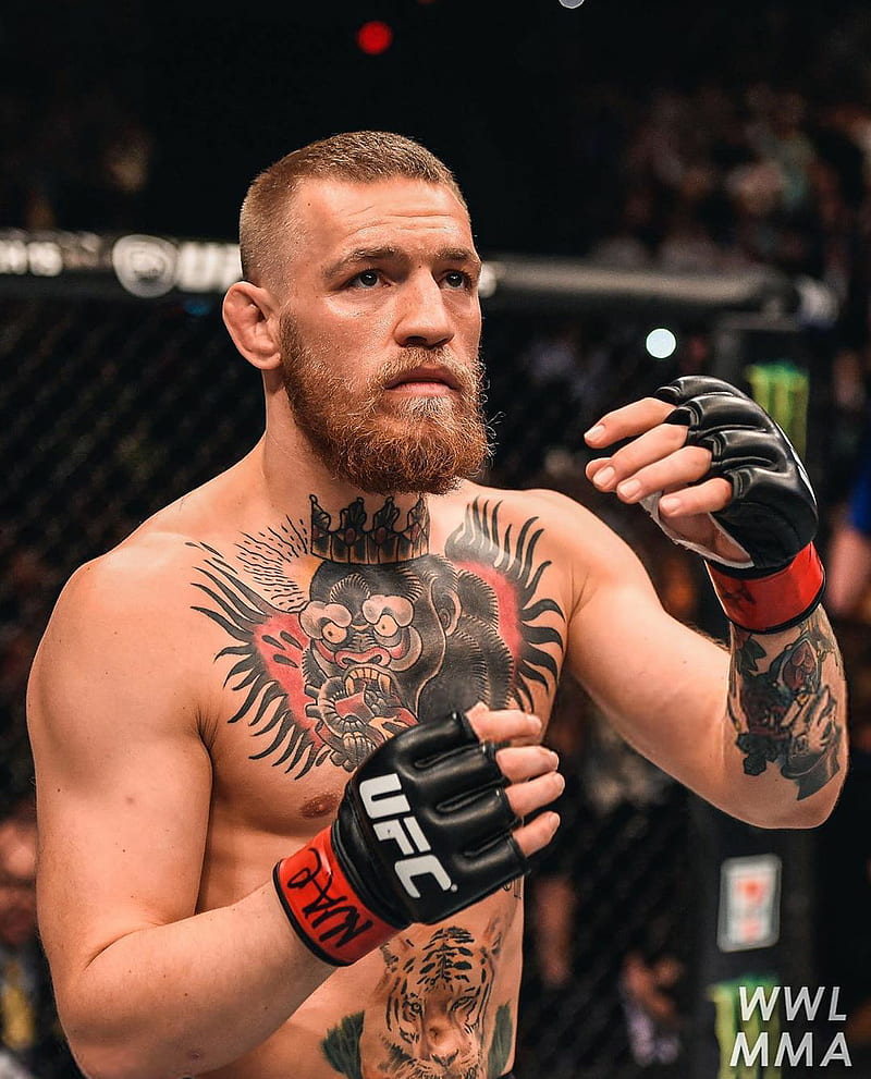 Background Conor Mcgregor Wallpaper