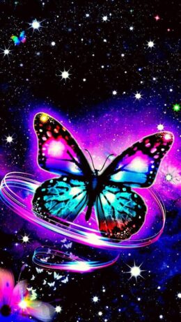 Butterfly Desktop Wallpaper