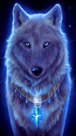 Background Wolf Wallpaper