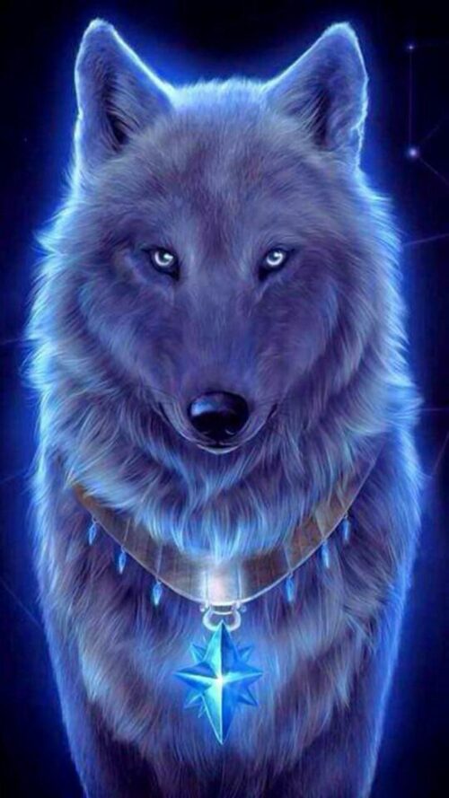 Background Wolf Wallpaper