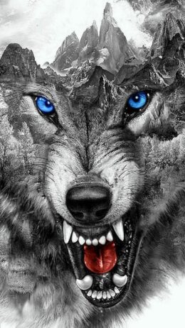 Background Wolf Wallpaper