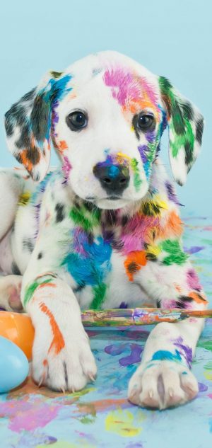 Puppy Wallpaper