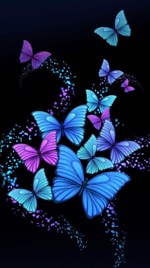 HD Butterfly Wallpaper