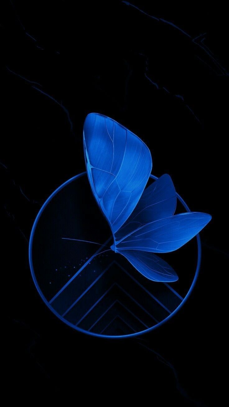 Blue Butterfly Wallpaper Enwallpaper