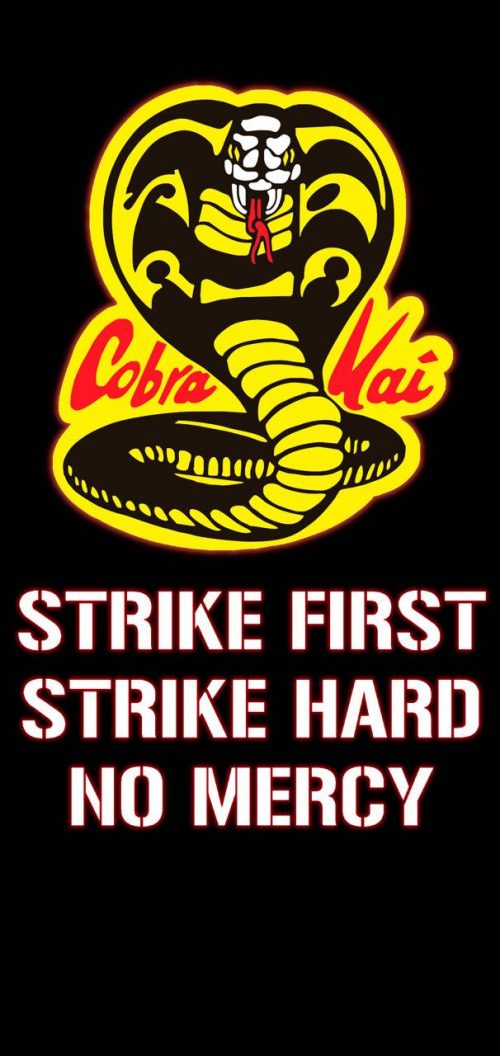 Backgraund Cobra Kai Wallpaper