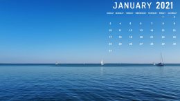 Desktop January 2021 Calendar Wallpaper